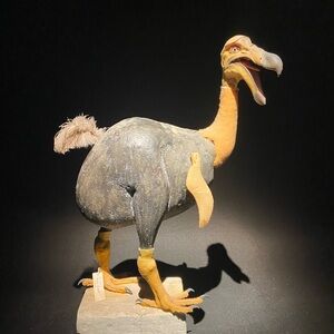 Meet your Posher, Ania